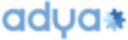 ADYA INC