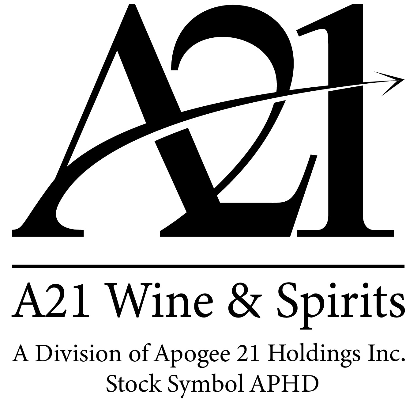 APOGEE 21 HLDGS INC