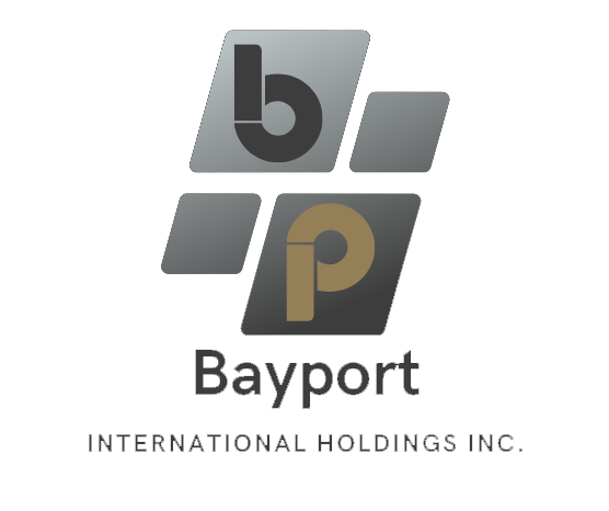 BAYPORT INTL HOLDGS INC