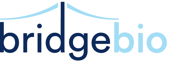 BridgeBio Oncology Therapeutics, Inc. Common Stock