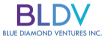 BLUE DIAMOND VENTURES INC