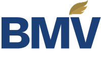 BLUEBIRD MINING VENTURES