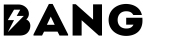 BANG HLDGS CORP