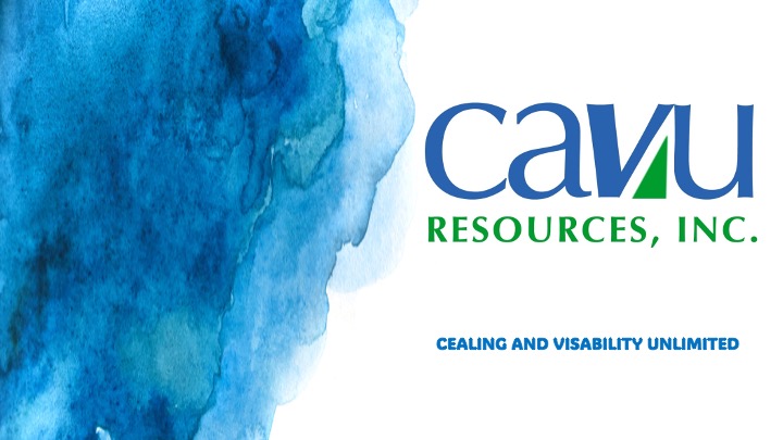 CAVU RESOURCES INC