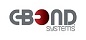 C-BOND SYSTEMS INC