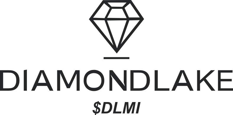 DIAMOND LAKE MIN INC