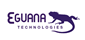 EGUANA TECHS INC