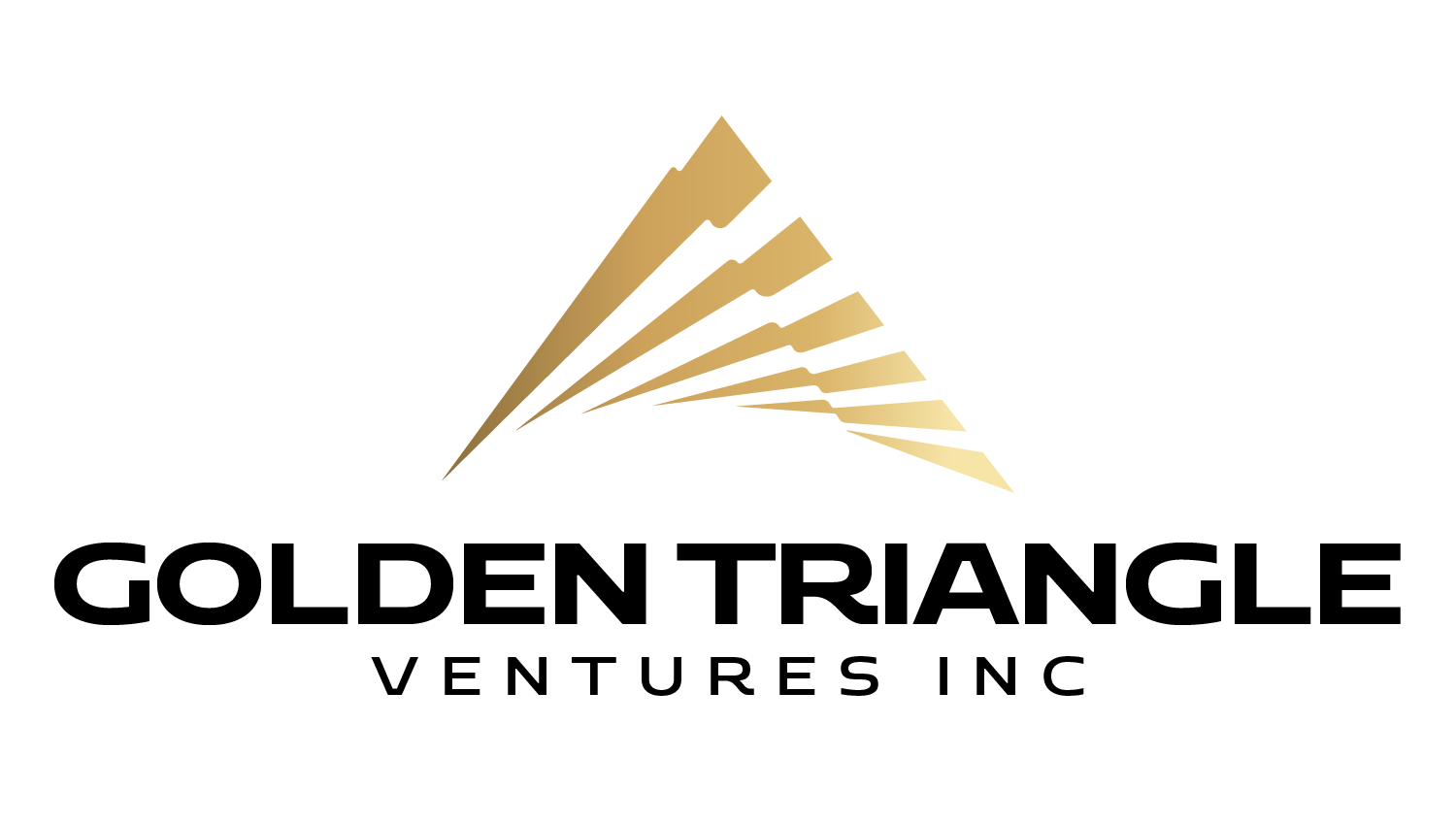 GOLDEN TRIANGLE VENTURES
