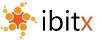 BITX SOFTWARE INC