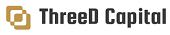 THREED CAPITAL INC