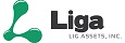 LIG ASSETS INC