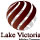 VICTORIA LAKE INC