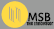 MSB GLOBAL CAPITAL CORP