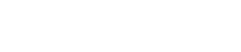 Navitas Semiconductor Corporation Common Stock