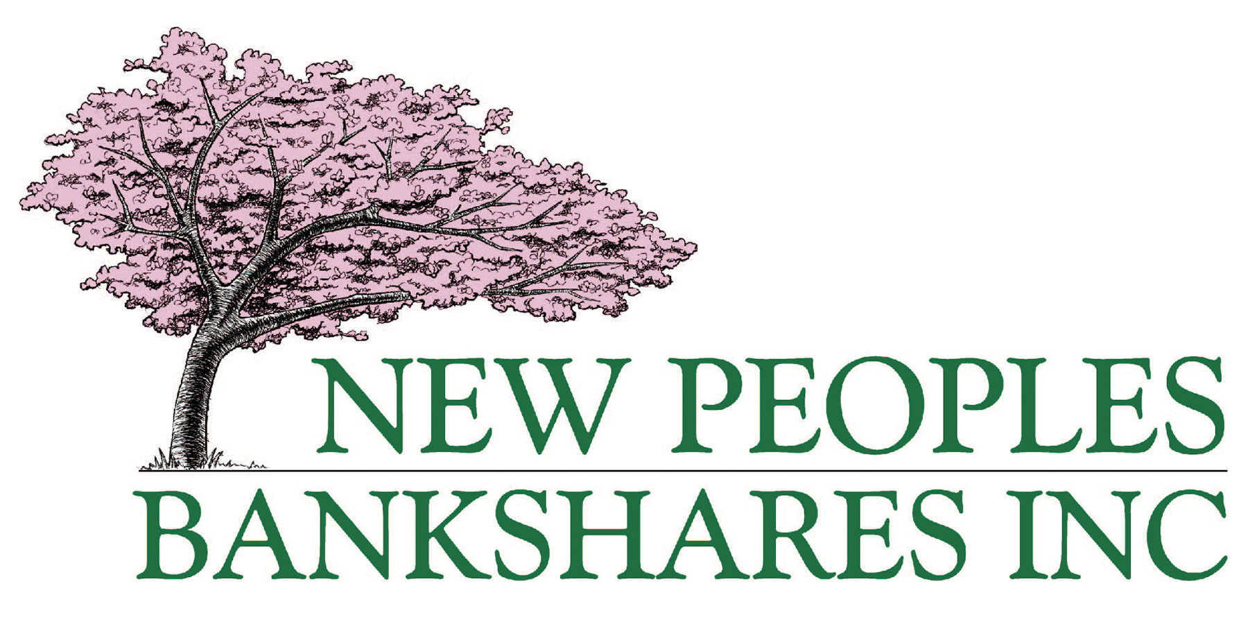 NEW PEOPLES BNKSHS INC