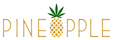 PINEAPPLE INC