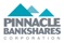 PINNACLE BANKSHARES CORP