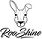 ROOSHINE INC NEW