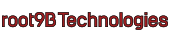 ROOT9B HOLDINGS INC