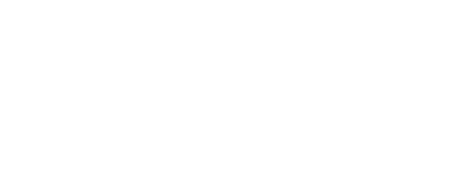 Ryvyl Inc. Common Stock