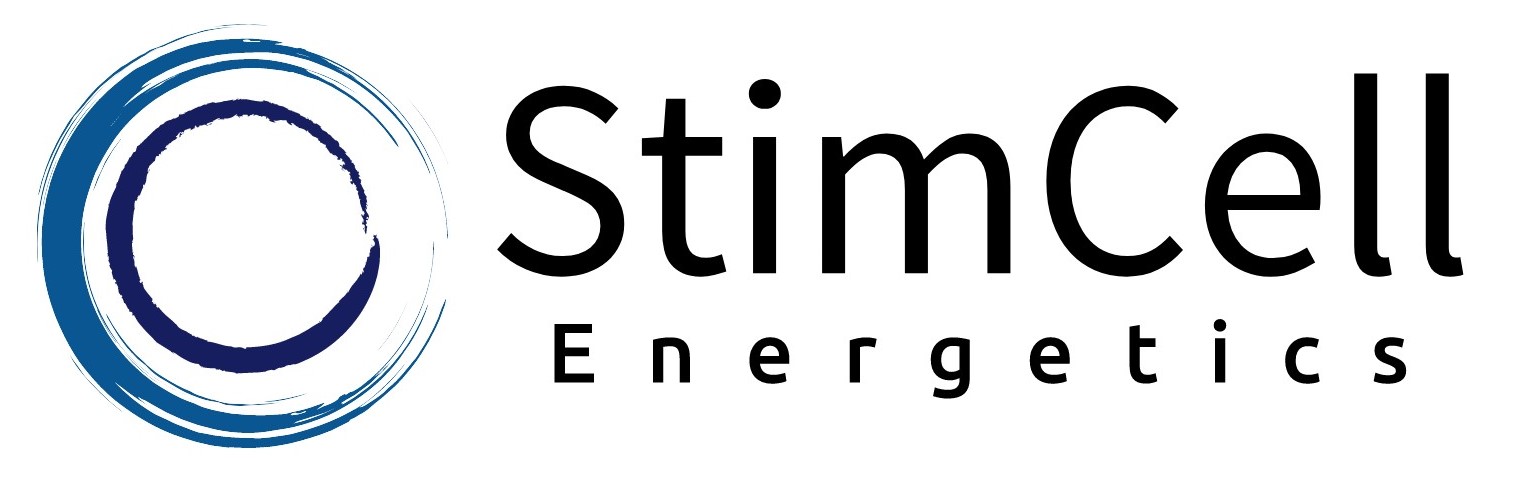 STIMCELL ENERGETICS INC