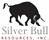 SILVER BULL RESOURCES NEW