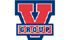 V GROUP INC