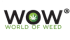 WOWI INC