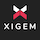 XIGEM TECHNOLOGIES CORP