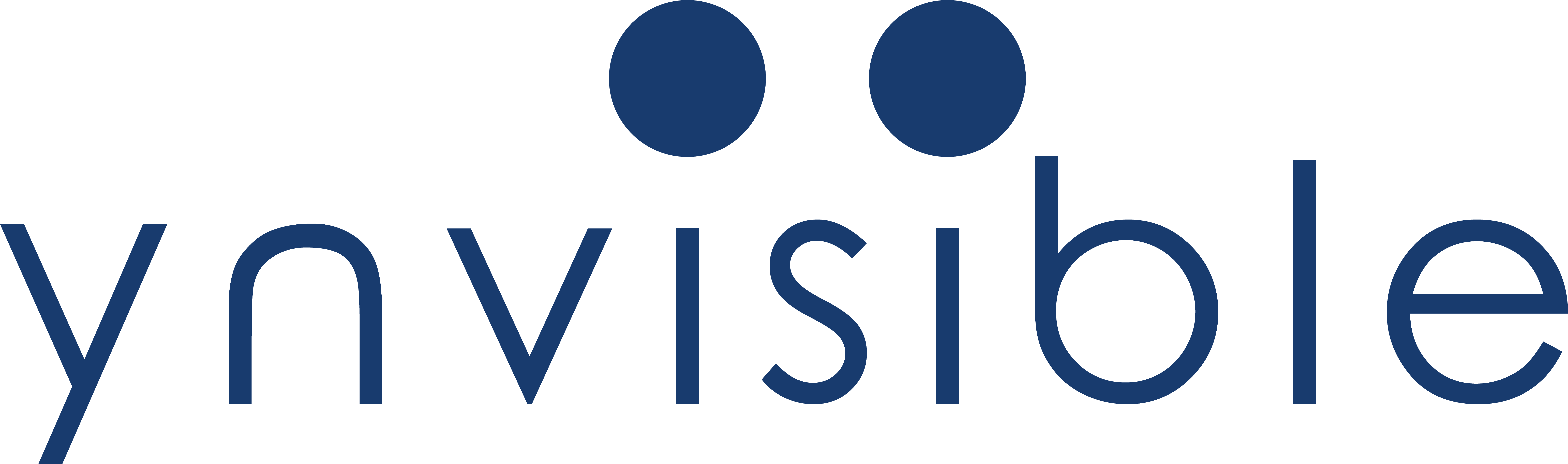 YNVISIBLE INTERACTIVE INC